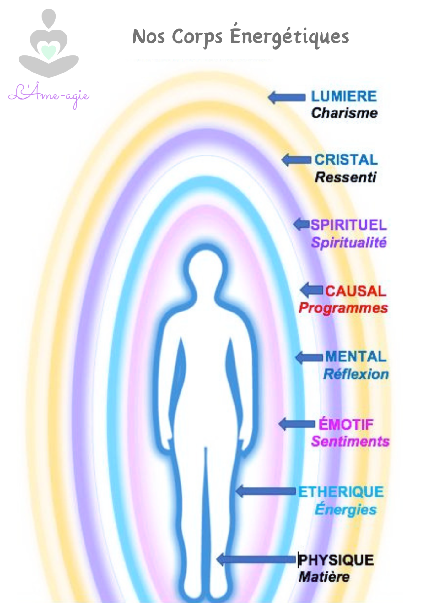 Nos corps energetiques